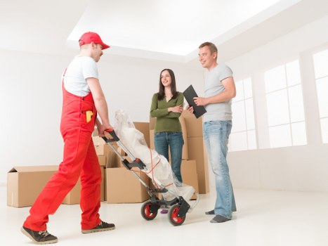 Manager reviewing a removals complaint procedure