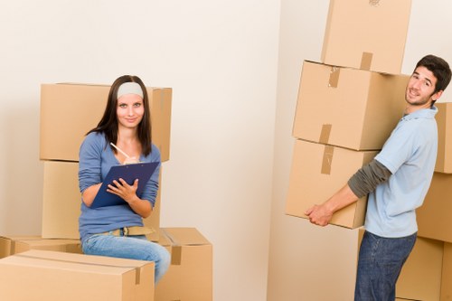 Professional moving truck option for Croydon customers and nearby areas