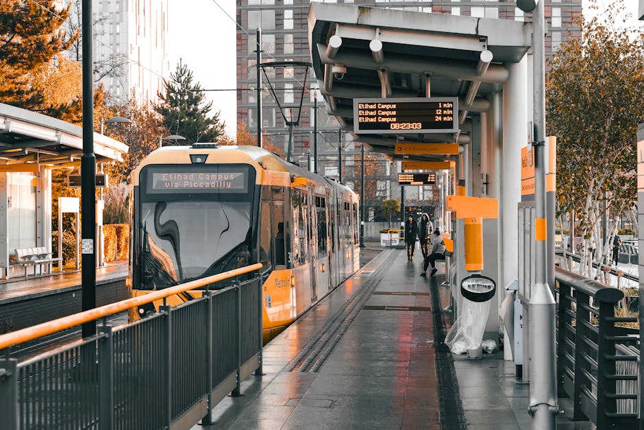 A modern urban train station platform with a yellow and black light rail train stopped beside it. The platform features a covered waiting area with benches on the left side and an electronic departure board displaying upcoming train arrivals, including one to Uxbridge via Piccadilly. Several people are visible on the platform, some standing and others walking toward the train or waiting at the sheltered area. The station is situated in a city environment, with tall buildings and trees with autumn foliage in the background. The platform surface is made of concrete with safety markings near the edge, and there are various equipment such as trash bins and signage attached to the station's structures. This scene illustrates a typical setting where removals companies, like Removal Company Croydon, might coordinate a home relocation involving transportation logistics through public transport, supporting efficient packing and moving processes for clients in the East Croydon area.